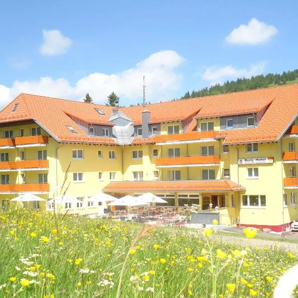 费尔德山伯格酒店，位于Menzenschwand-Hinterdorf的酒店