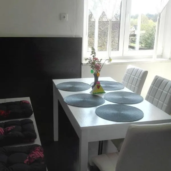Apartment Pražská，位于罗基察尼的酒店