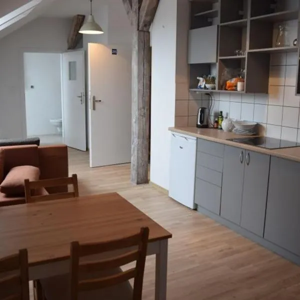 CEN Wydminy，位于维德米内的酒店