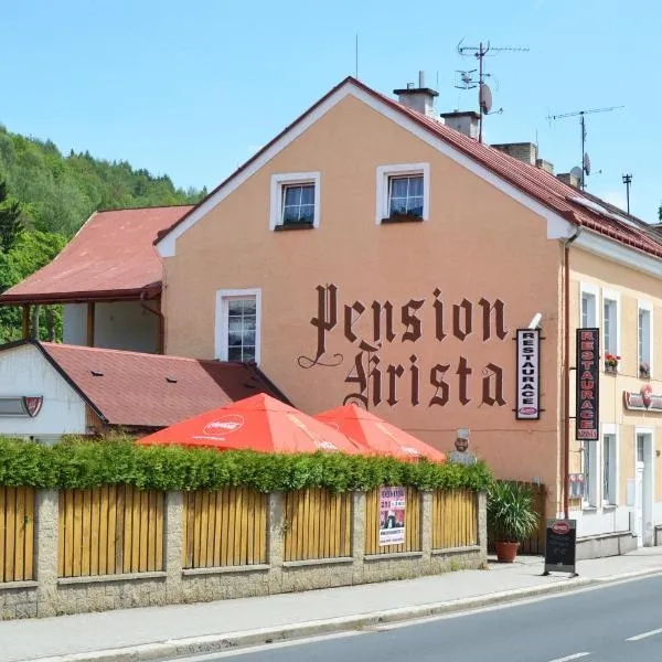 Pension Krista，位于Stříbrná的酒店