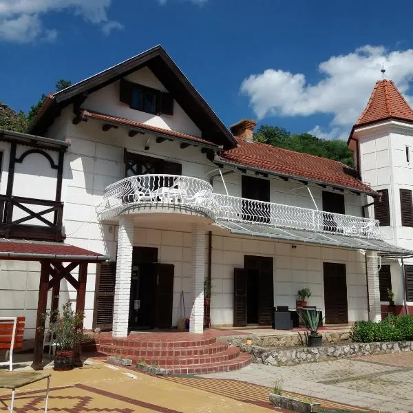 Valcsics Villa Panzió，位于佩奇的酒店