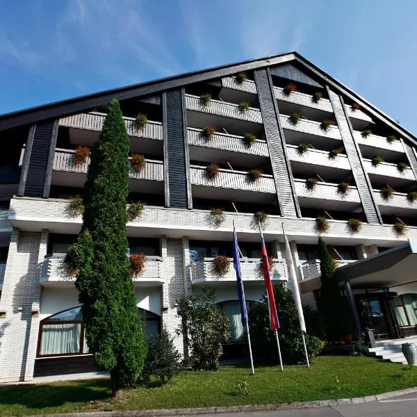 萨瓦服务度假酒店，位于Breznica的酒店