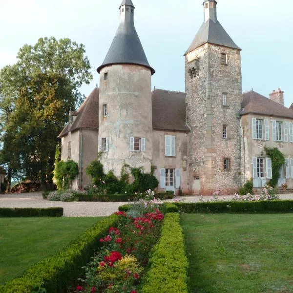 克劳索斯城堡酒店，位于Souvigny的酒店