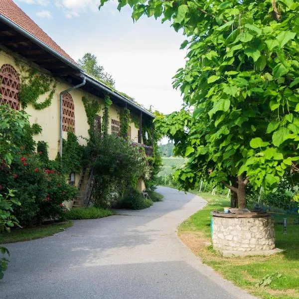 Turistična kmetija Vrezner Apartment，位于Svečina的酒店