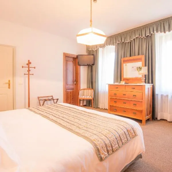 Hotel Villa Trieste，位于Vodo Cadore的酒店