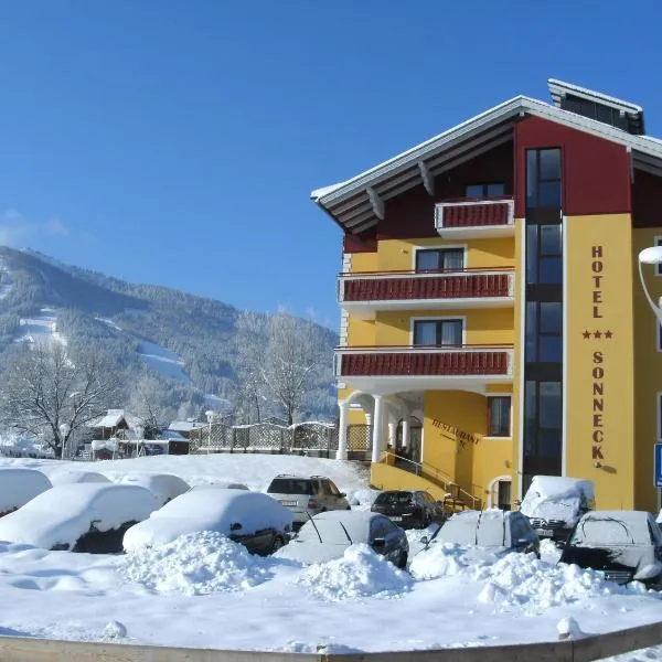 Hotel Sonneck，位于斯拉德明的酒店