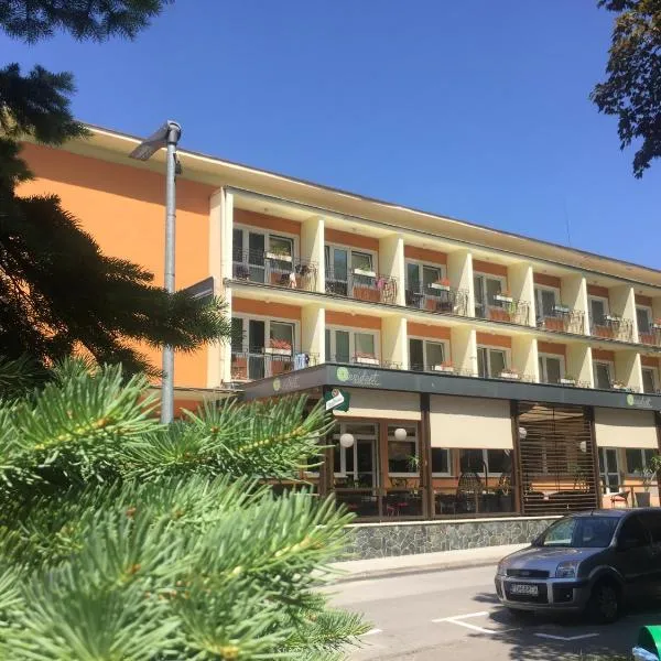 Hotel Rezident，位于Sklené的酒店