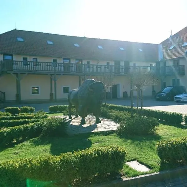 野牛牧场旅馆，位于Rožnov的酒店