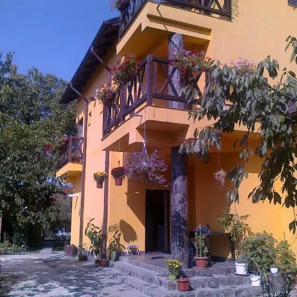 Pensiunea Elena，位于Targu Trotuş的酒店