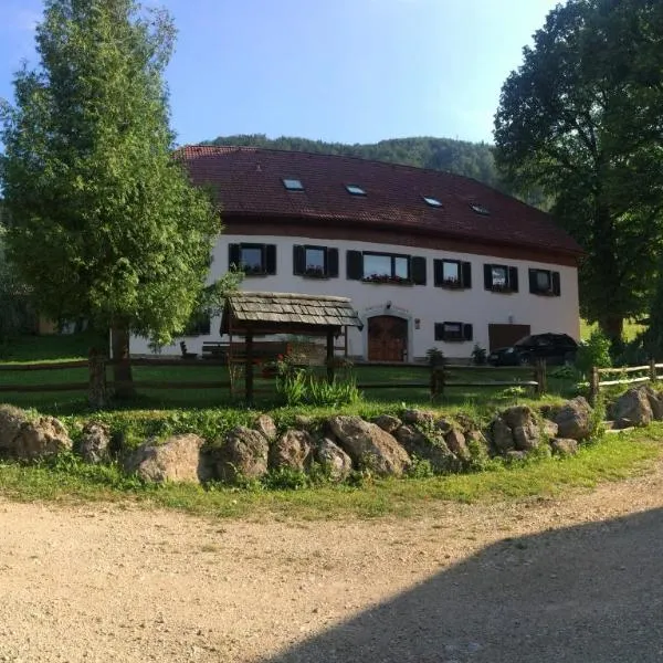 Turistična Kmetija Toman，位于Gornji Grad的酒店
