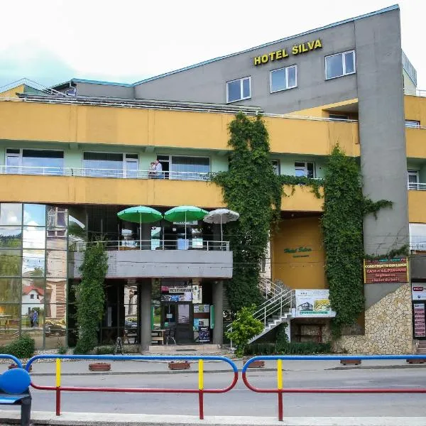 Hotel Silva，位于Neagra Şarului的酒店