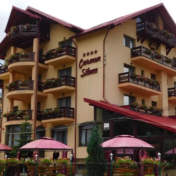 Pensiunea Carmen Silvae，位于Văleni-Stînişoara的酒店