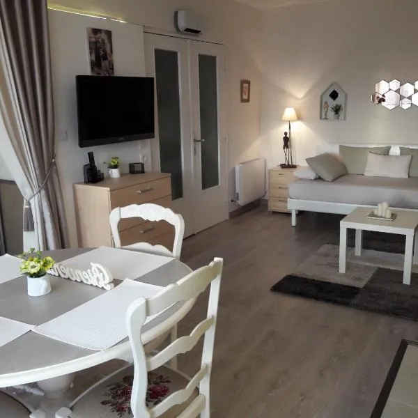 Chic En Ville，位于梅斯的酒店