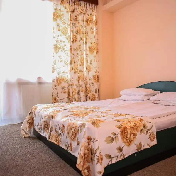 Hotel Silva，位于瓦特拉多尔内的酒店