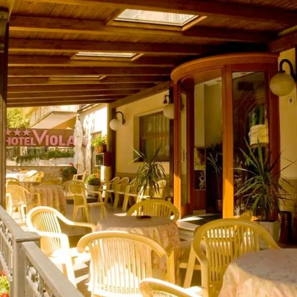 Hotel Viola，位于San Valentino in Abruzzo Citeriore的酒店