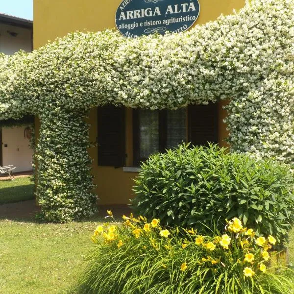 阿里加阿尔塔农家乐，位于纳托的酒店