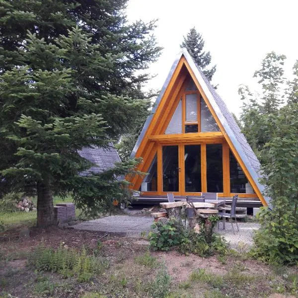 Ferienpark Schellbronn - Wolfseeweg 11 und Wolfseeweg 9，位于Schellbronn的酒店