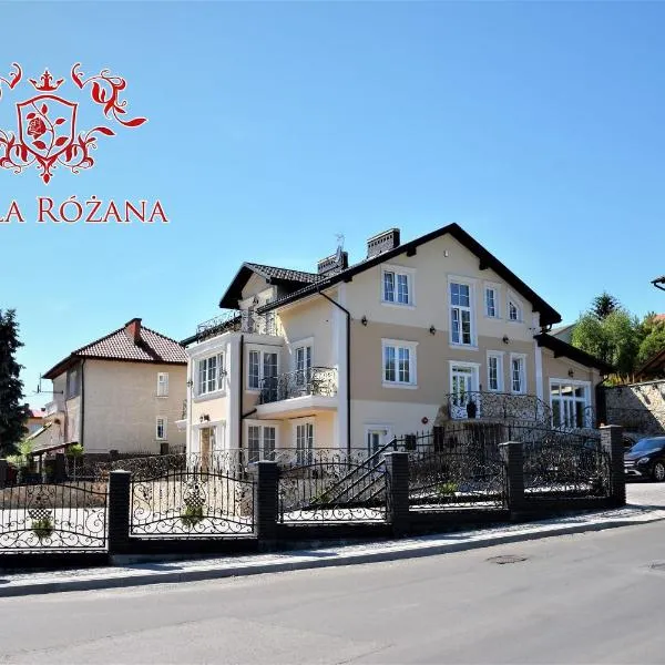 Willa Różana - Apartamenty i Pokoje Gościnne，位于桑多梅日的酒店