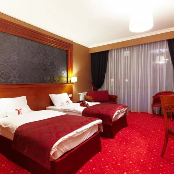 格罗德兹克商务酒店及Spa，位于Dobrzany的酒店