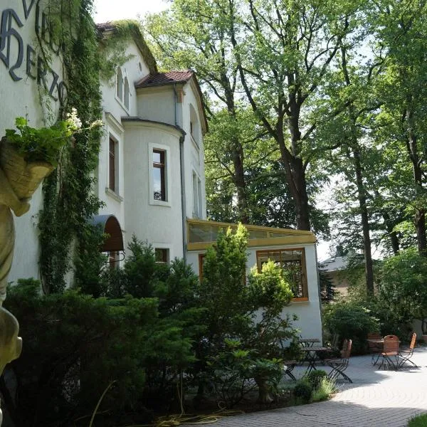 赫佐格别墅酒店，位于Ullersdorf的酒店