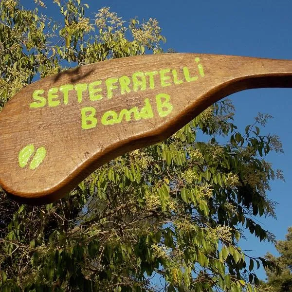 B&B Sette Fratelli，位于San Gregorio的酒店