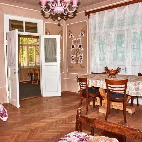 Nukri Guest House，位于Patara-Goridzhvari的酒店