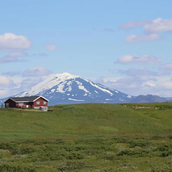 Guest House Svetlana，位于Hlíðarendi的酒店