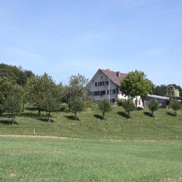 瓦尔德霍夫住宿加早餐旅馆，位于Schneisingen的酒店