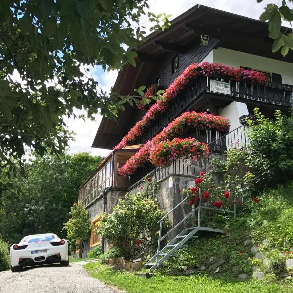 Pension Alpenblick，位于Val di Mezzo的酒店