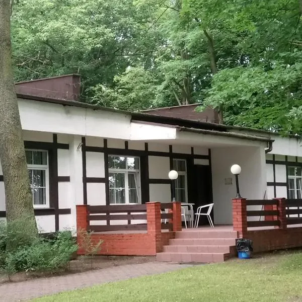 Hostel Dworek Osiecki KORAL，位于Bielkowo的酒店