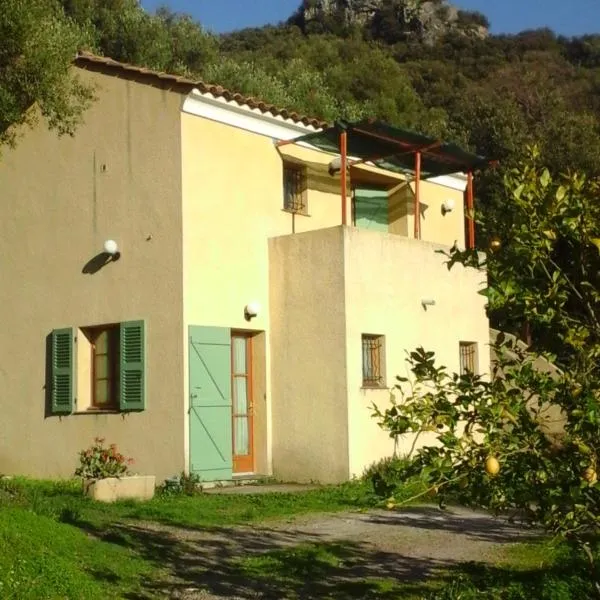 A CASA DI L'ALIVU，位于帕特里莫尼奥的酒店