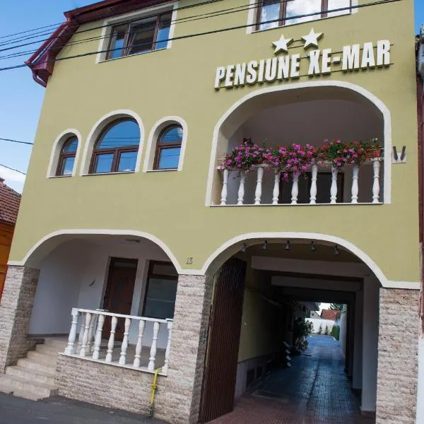 Pensiune Xe-Mar，位于Miniş的酒店