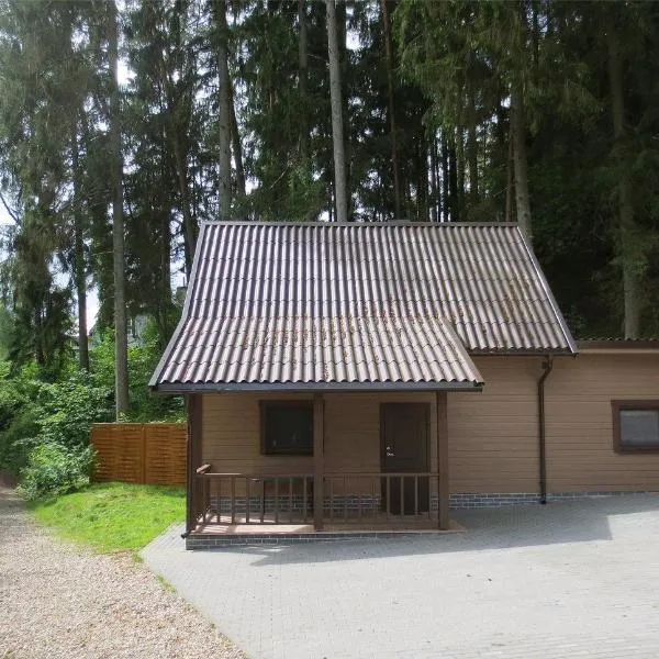 Mizarai Mill House，位于Viktarinas的酒店