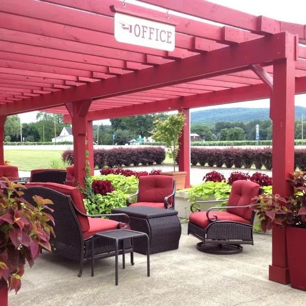 Vinehurst Inn & Suites，位于Pulteney的酒店