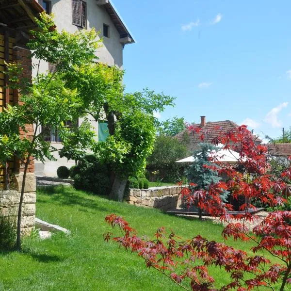 Guesthouse Djurić，位于Rajac的酒店