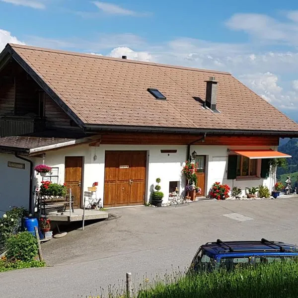 司切文迪霍夫酒店，位于芙露姆赛山的酒店