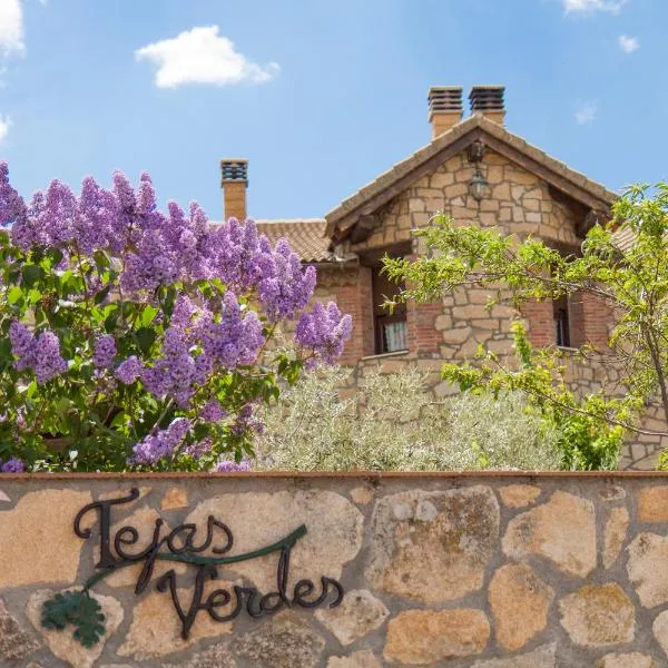 Tejas Verdes，位于埃尔巴科-德阿维拉的酒店