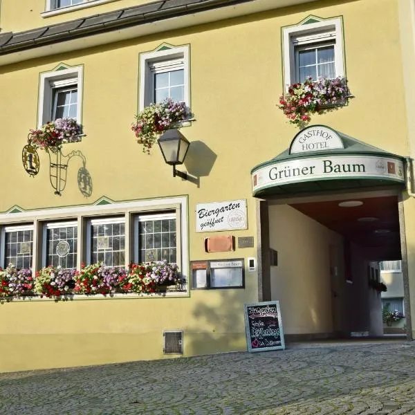 巴姆格鲁奈酒店，位于Leupoldsgrün的酒店