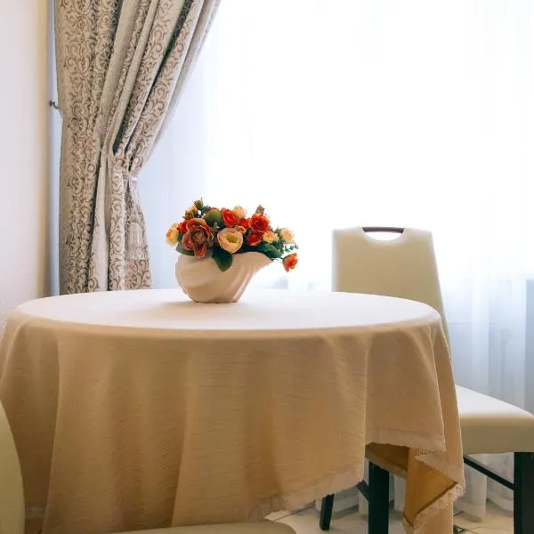 VIP apartmen，位于Stetsʼkivka的酒店