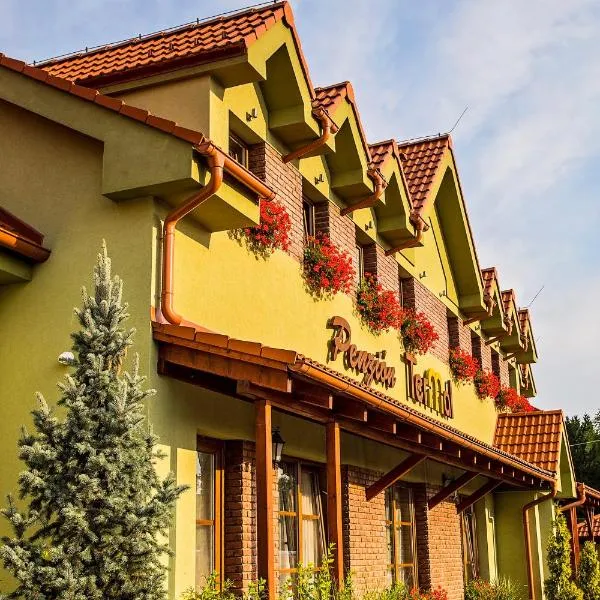 特马尔旅馆，位于Nitrianske Rudno的酒店