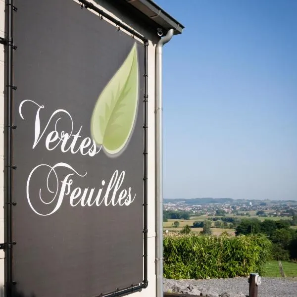 Vertes Feuilles，位于Saint-Sauveur的酒店