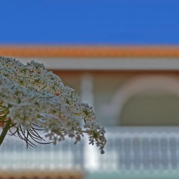 Pine tree Apartment & sunset by "elite"，位于Koiliomenos的酒店