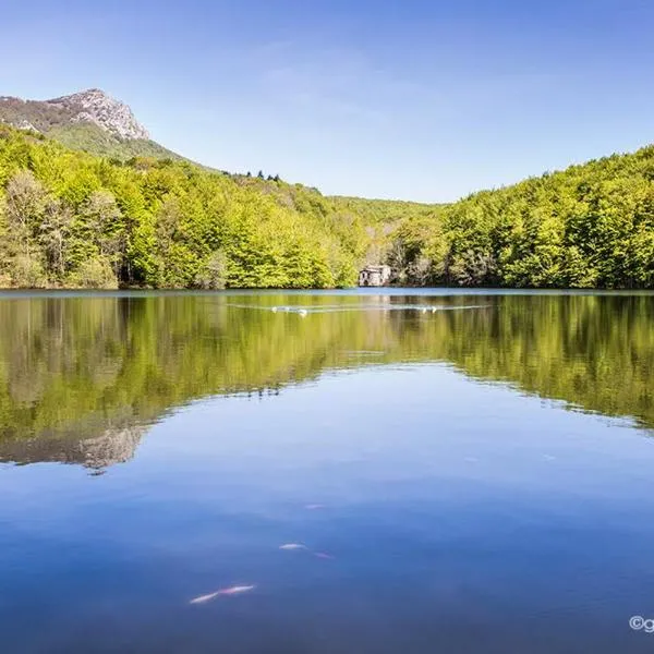 Hostal l'Avet Blau，位于Santa Fe de Montseny的酒店