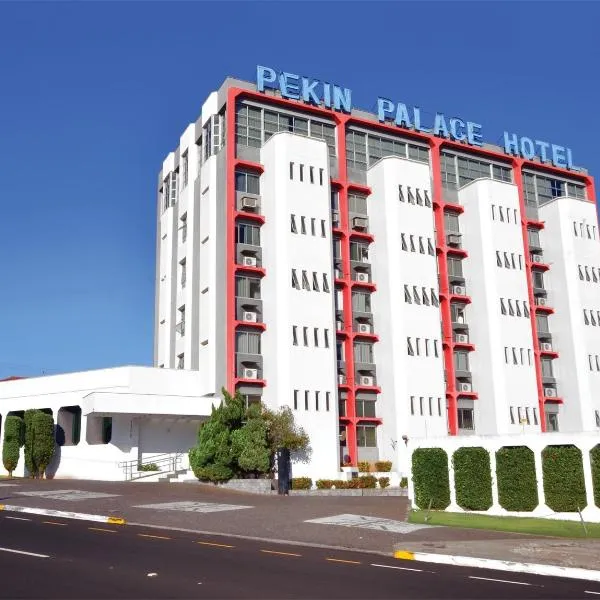 佩金宫酒店，位于比里吉的酒店