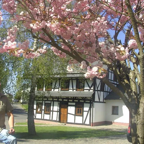 Ferienhaus Schmitt，位于拜尔施泰因的酒店