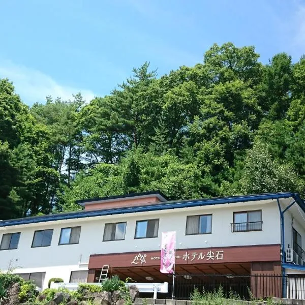 多佳尼西酒店 ，位于茅野的酒店