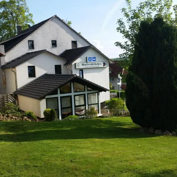 Gasthaus Waldschlosschen，位于Hessisch Lichtenau的酒店