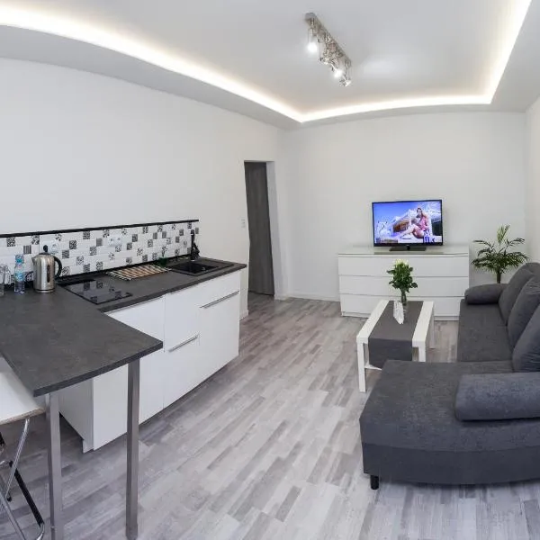 Apartament A4 Szczytnica，位于博莱斯瓦维茨的酒店