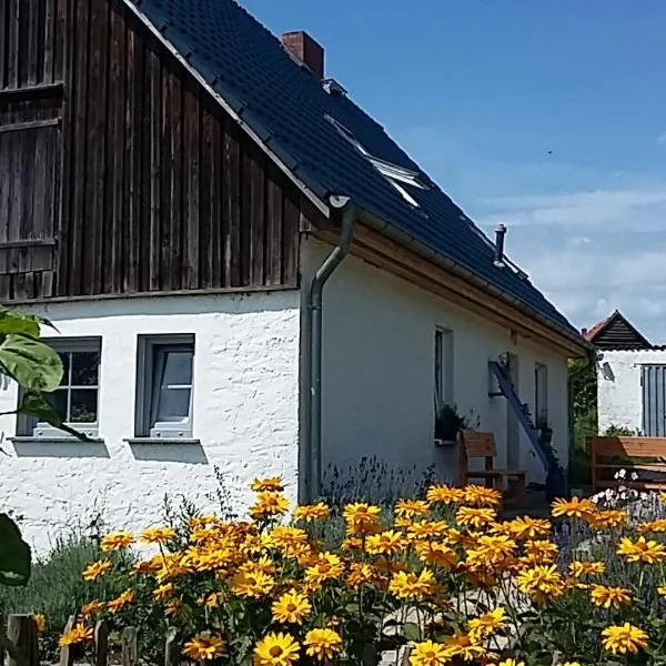 Zum Storchennest，位于Neu Boltenhagen的酒店