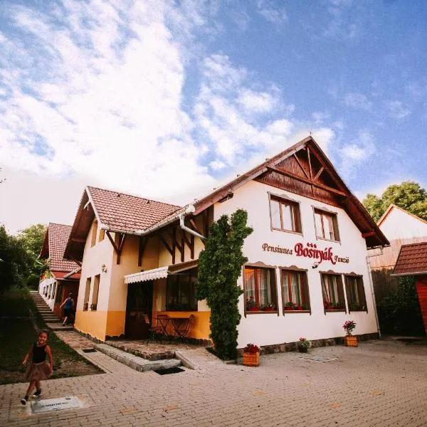 Bosnyák Panzió，位于Zetea的酒店